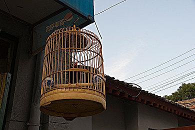 《无法成眠的伊达键 - From AI：梦境档案》   连续五周发布短篇动画《伊达键的放轻松小剧场》